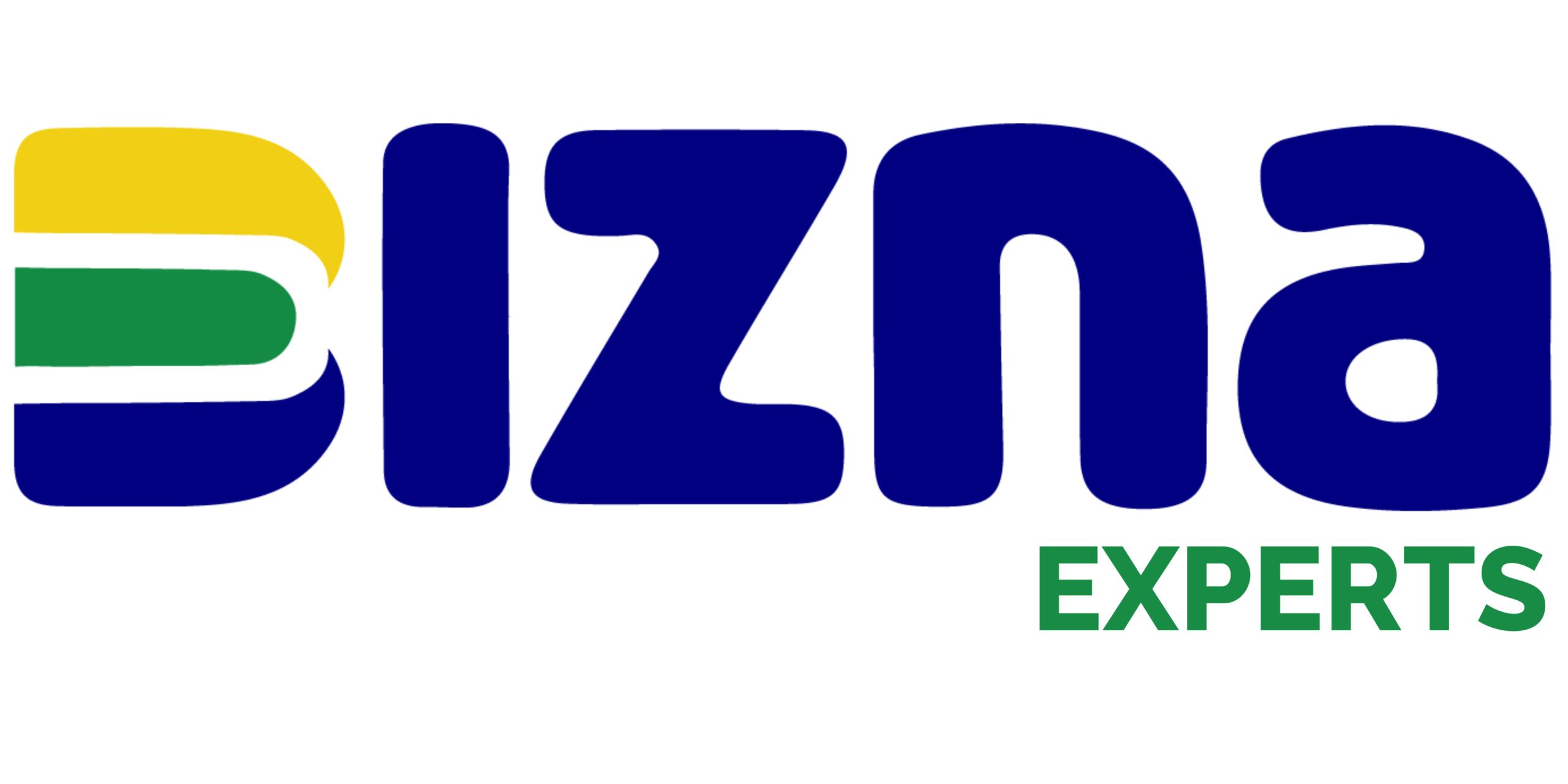 BIZNA EXPERTS